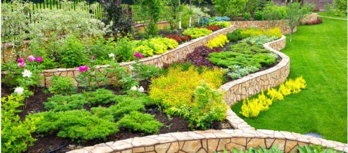 Landscape design San Antonio