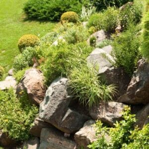 landscape design