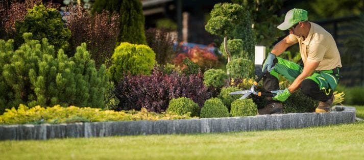 landscape design services