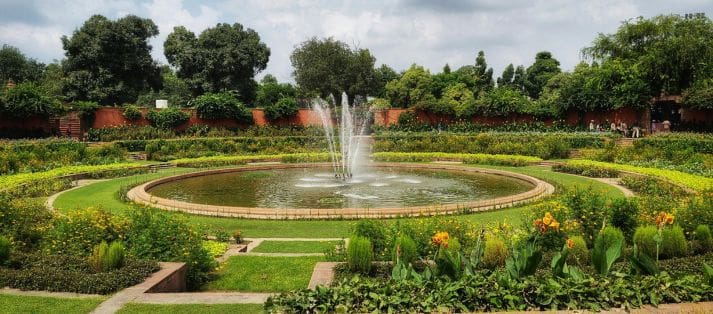 landscape designer San Antonio