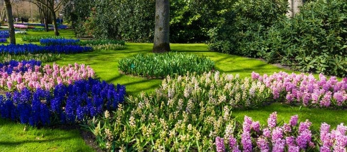 How To Create A Garden Design That Matches Your Preferences