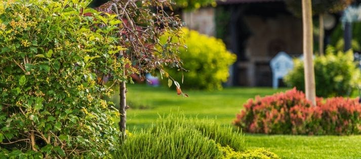 Landscape design Brenham TX