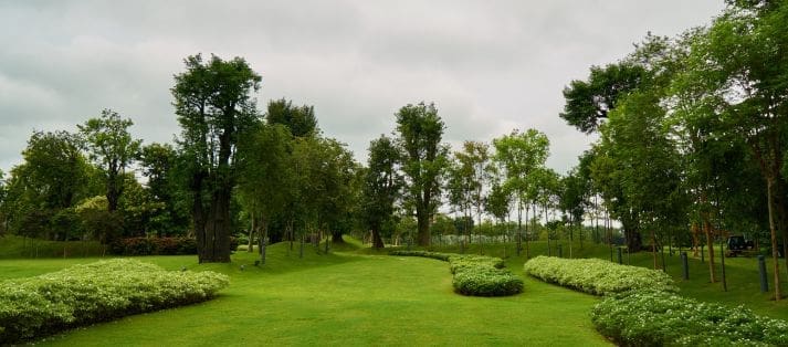 landscape design College Station TX