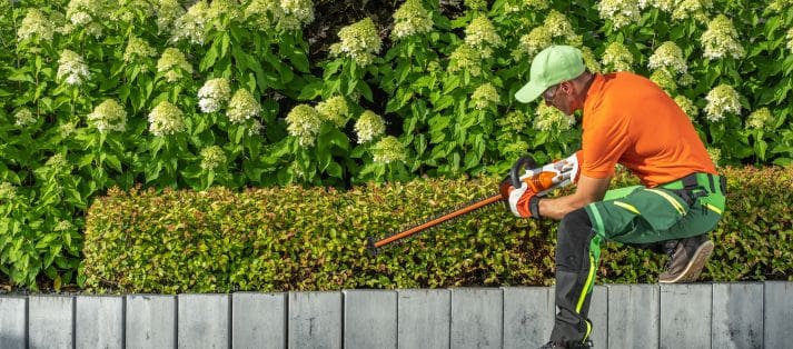 landscape design services in Fayetteville, TX