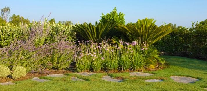 landscape designer Round Top TX