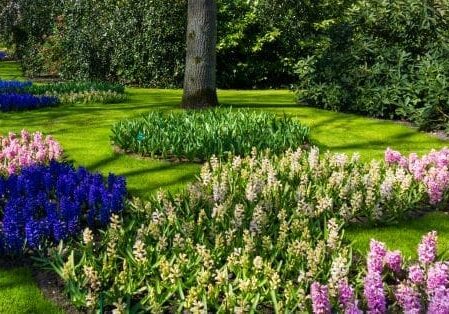 Garden Design