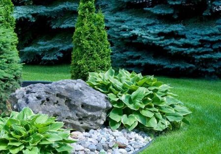 landscape designer